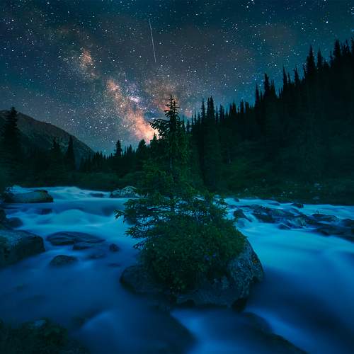 Preview Photographer\'s photo Элина Магалимова