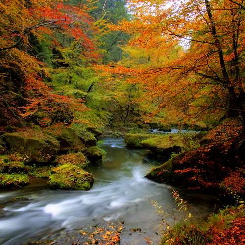 Preview Photographer\'s photo Александр Беляев