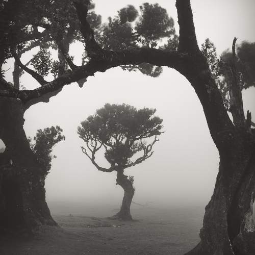 Preview Photographer\'s photo Vasilev Kris