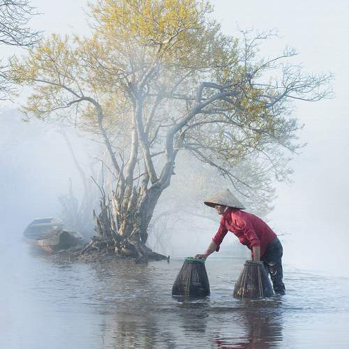 Preview Photographer\'s photo Le Nhat Quang