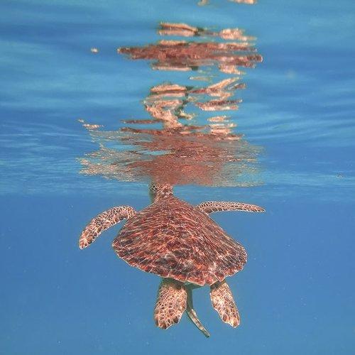 Preview Photographer\'s photo Boris Zhitomirsky