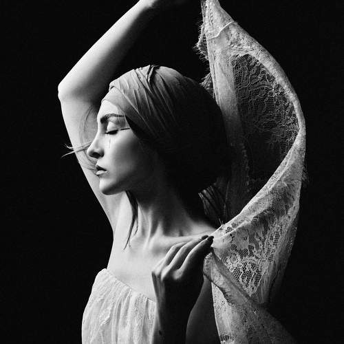 Preview Photographer\'s photo Hamidreza Sheikhmorteza