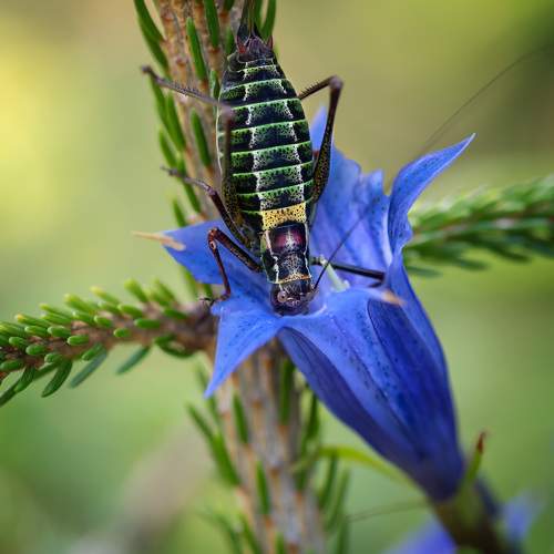 Превью фотографии фотографа Рагинская Ольга
