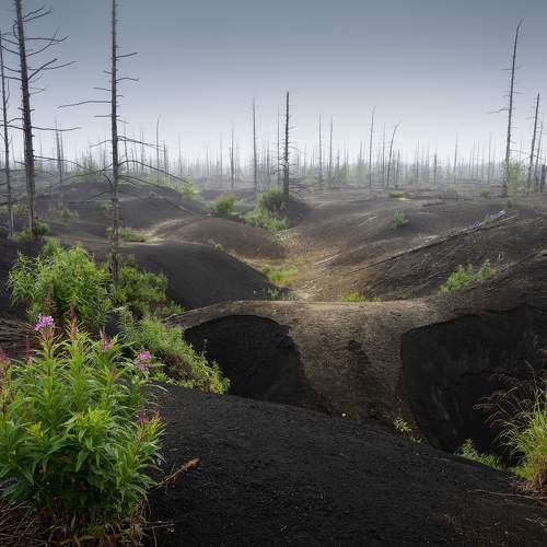 Preview Photographer\'s photo Konstantin Kalinin