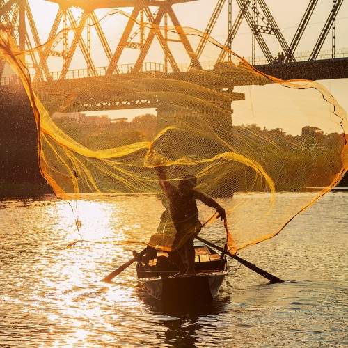 Preview Photographer\'s photo Thang Hoang Tat