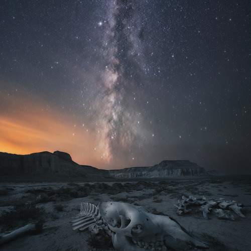 Preview Photographer\'s photo Sergey Kozlov