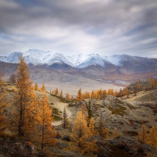 Превью фотографии фотографа Сергей Буторин