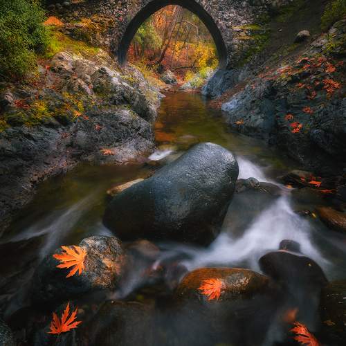 Preview Photographer\'s photo Evgeni Fabis