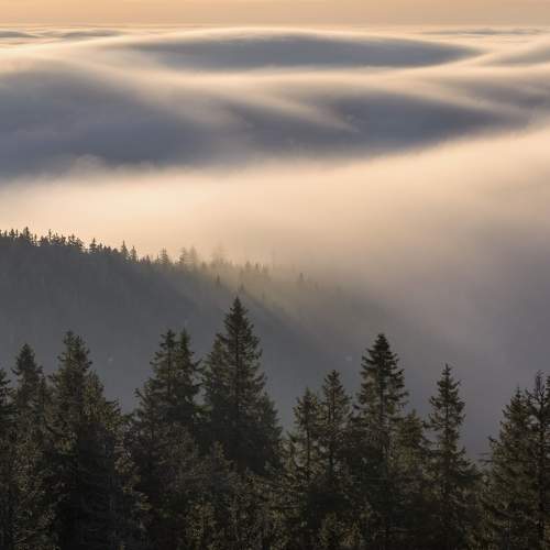 Preview Photographer\'s photo Petr Fiala