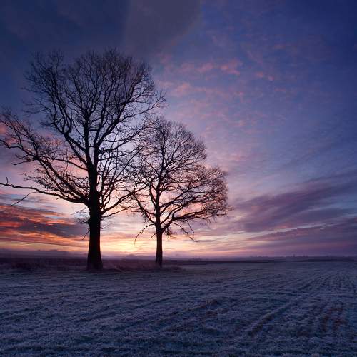 Preview Photographer\'s photo Eugenijus Rauduve