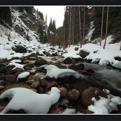 Preview Photographer\'s photo Silfida