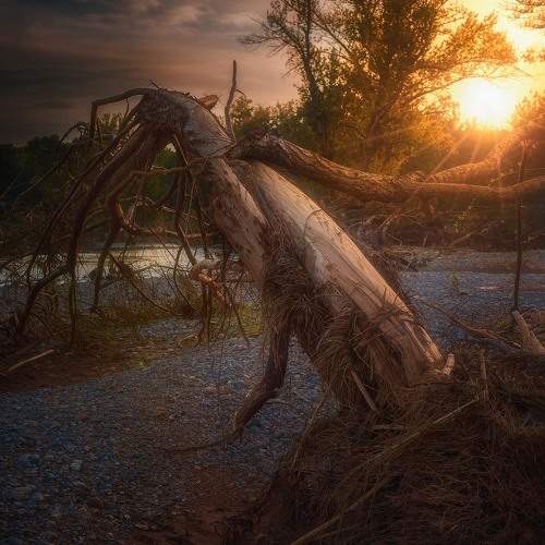 Превью фотографии фотографа yiping weng