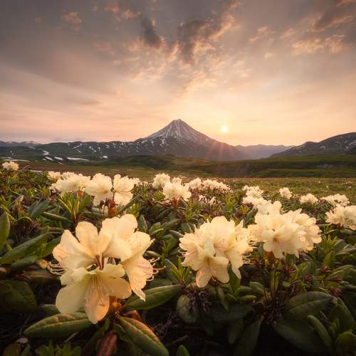 Preview Photographer\'s photo Dmitry Ishniyazov