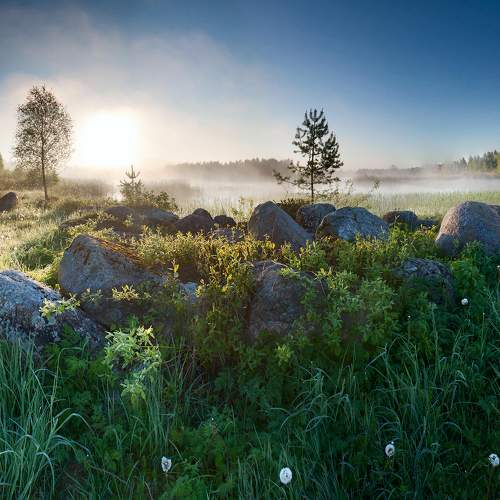 Preview Photographer\'s photo Eugenijus Rauduve