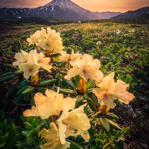 Превью фотографии фотографа Dmitry Ishniyazov