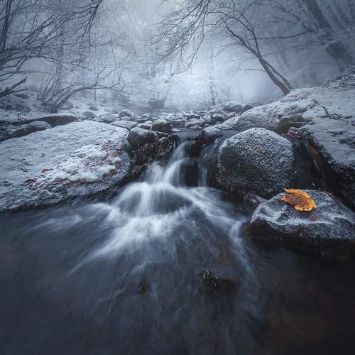 Preview Photographer\'s photo Александър Александров