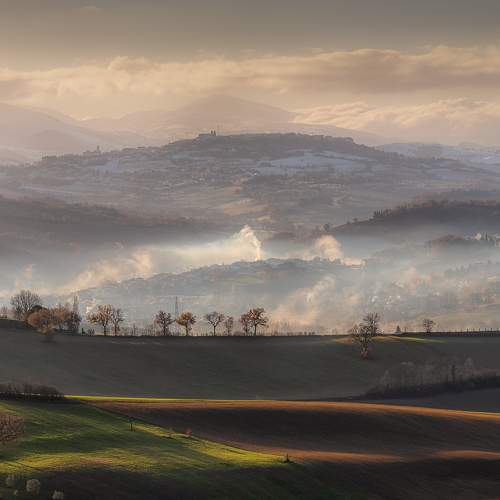 Preview Photographer\'s photo Anconetani Luca