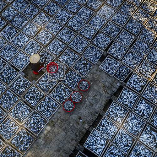 Превью фотографии фотографа Le Nhat Quang