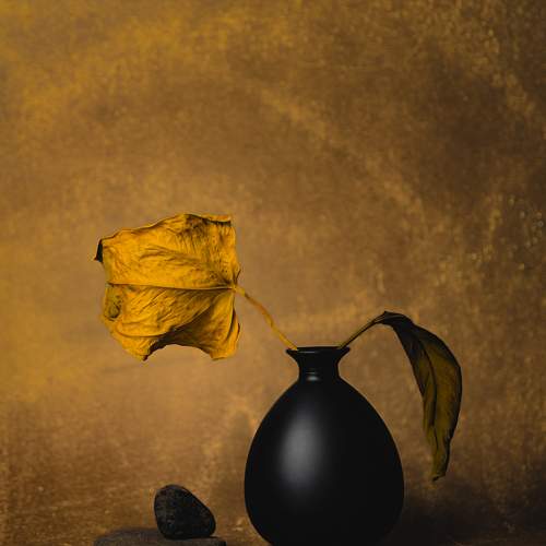 Превью фотографии фотографа ZXK