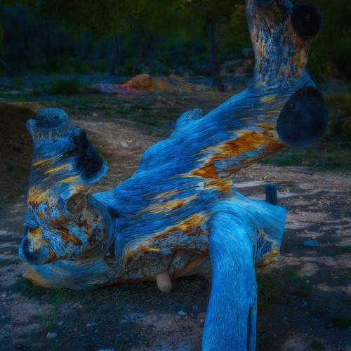 Превью фотографии фотографа yiping weng