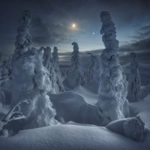 Preview Photographer\'s photo Dmitry Medyancev