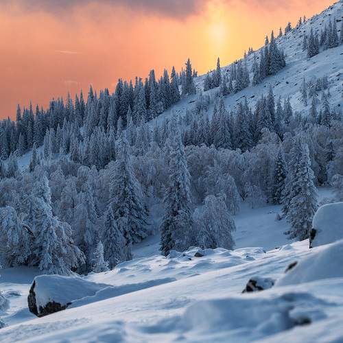 Preview Photographer\'s photo Бодрягин Виталий