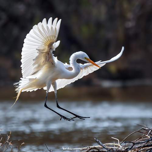 Preview Photographer\'s photo Leonid Dyachenko