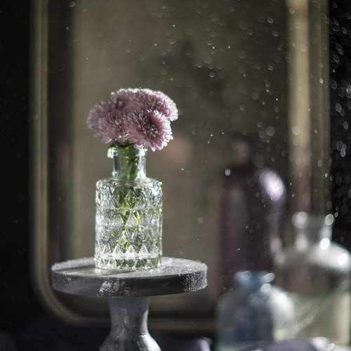 Превью фотографии фотографа Tata Bakbak