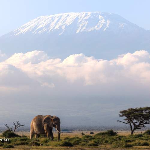Превью фотографии фотографа Sergey Efimenko