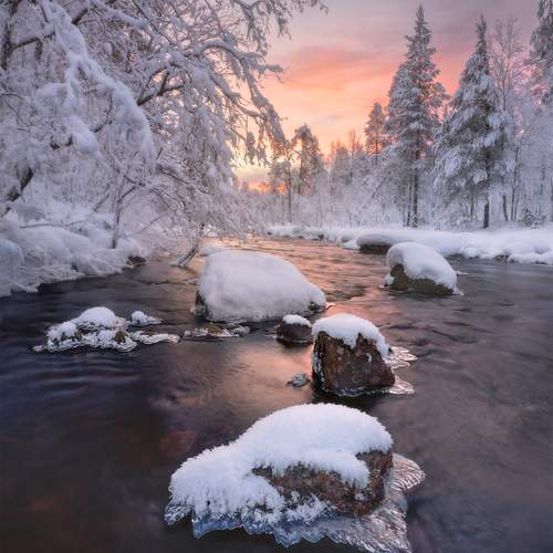 Превью фотографии фотографа Сергей Буторин