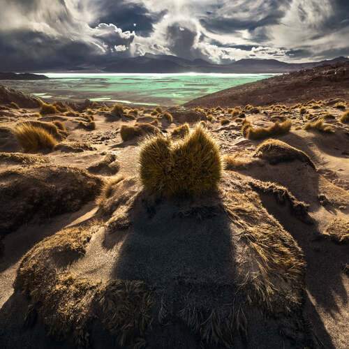 Превью фотографии фотографа Fortuna Fabrizio