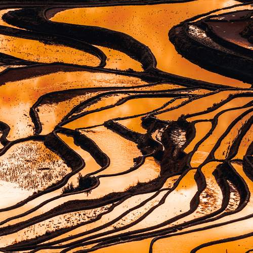 Превью фотографии фотографа ZXK