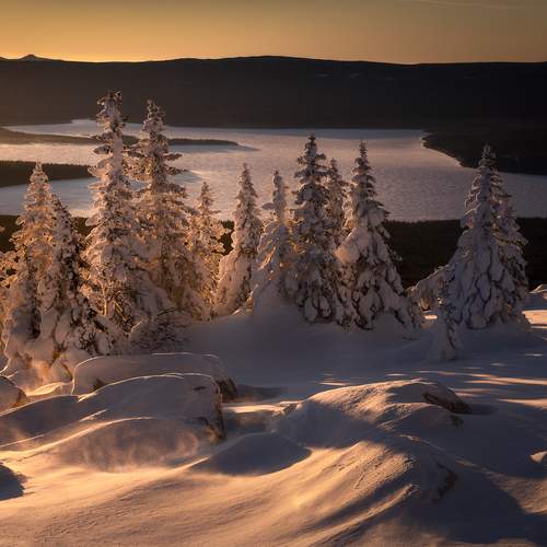 Превью фотографии фотографа Татьяна Бирюкова