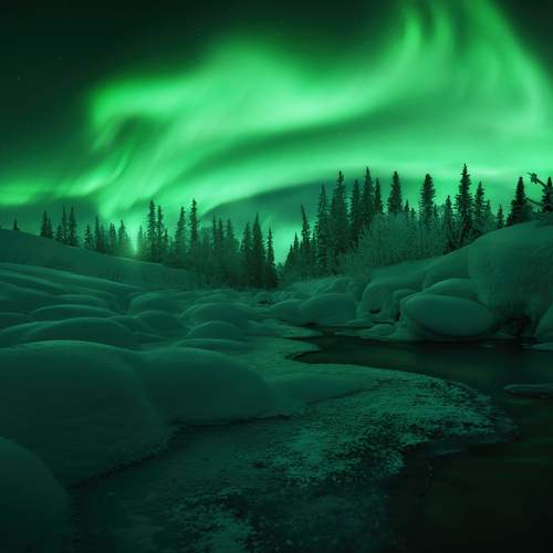 Превью фотографии фотографа Дударев Александр