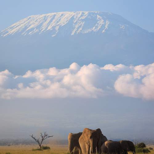 Preview Photographer\'s photo Sergey Efimenko