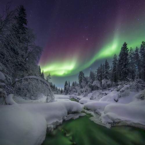 Превью фотографии фотографа Сергей Буторин