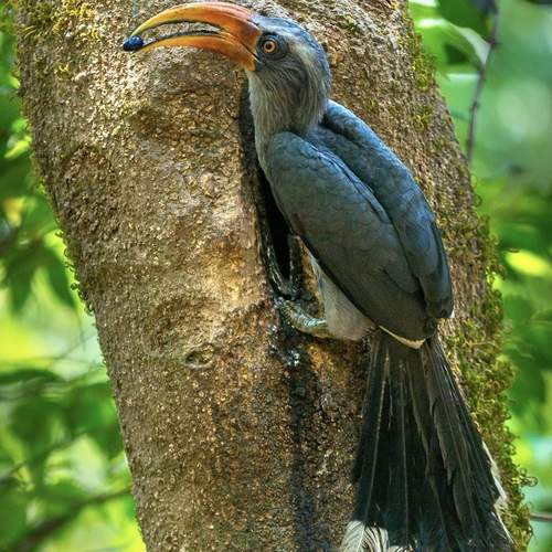 Preview Photographer\'s photo Dhananjay Jadhav