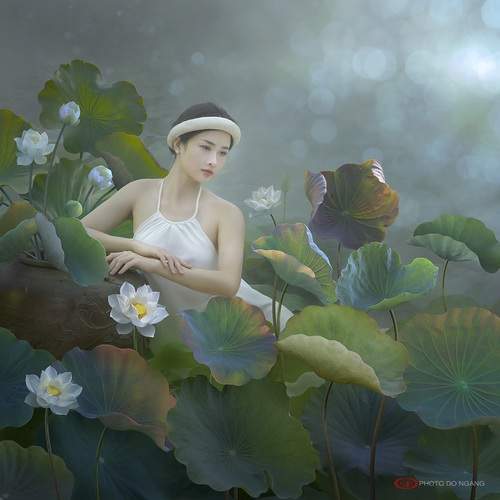 Preview Photographer\'s photo Lê Hồng Tuấn