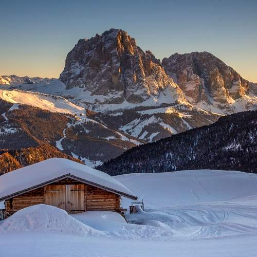 Preview Photographer\'s photo  Gregor