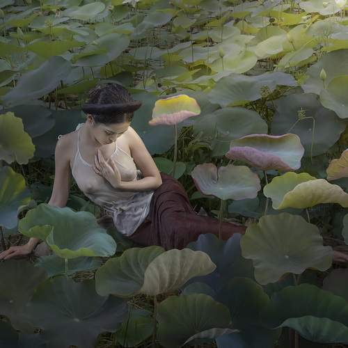 Preview Photographer\'s photo Lê Hồng Tuấn