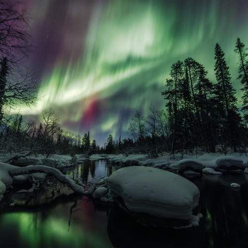 Превью фотографии фотографа Телешов Александр