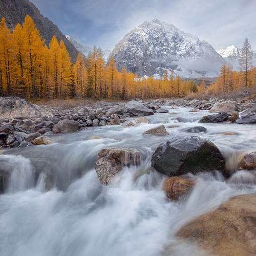 Превью фотографии фотографа Александр Нерозя