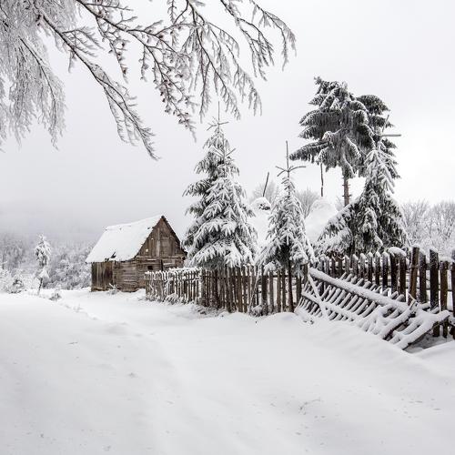 Превью фотографии фотографа Marius Turc