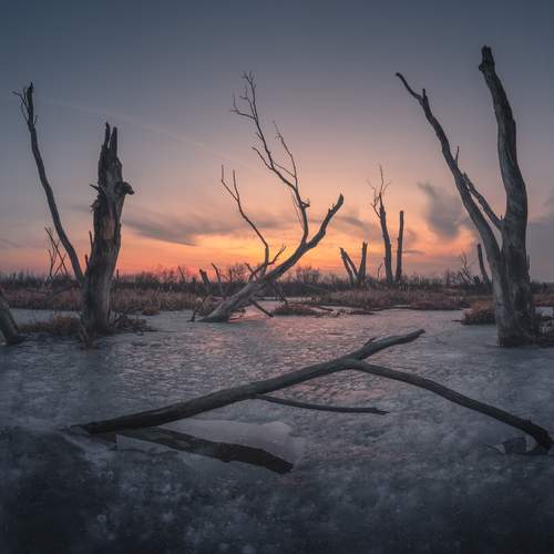 Preview Photographer\'s photo Дубровинский Михаил