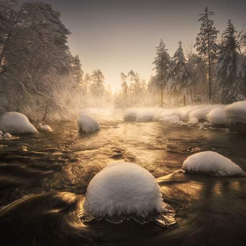 Превью фотографии фотографа Dmitry Medyancev