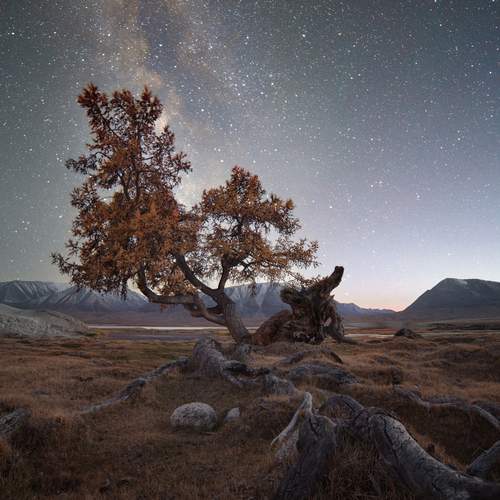 Preview Photographer\'s photo Александр Нерозя