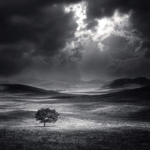 Превью фотографии фотографа Татьяна Бирюкова