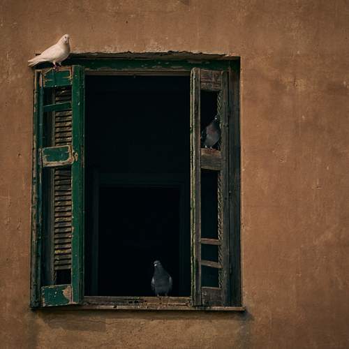 Превью фотографии фотографа Viacheslav Kuzub