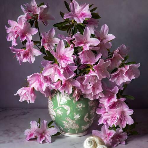 Превью фотографии фотографа Слуцкая Яна