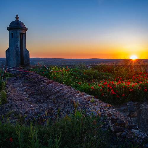 Preview Photographer\'s photo Veaceslav Chisalita